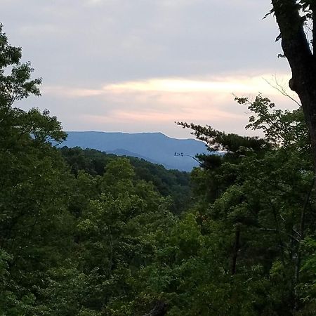 Rustic Cabin 세비어빌 외부 사진